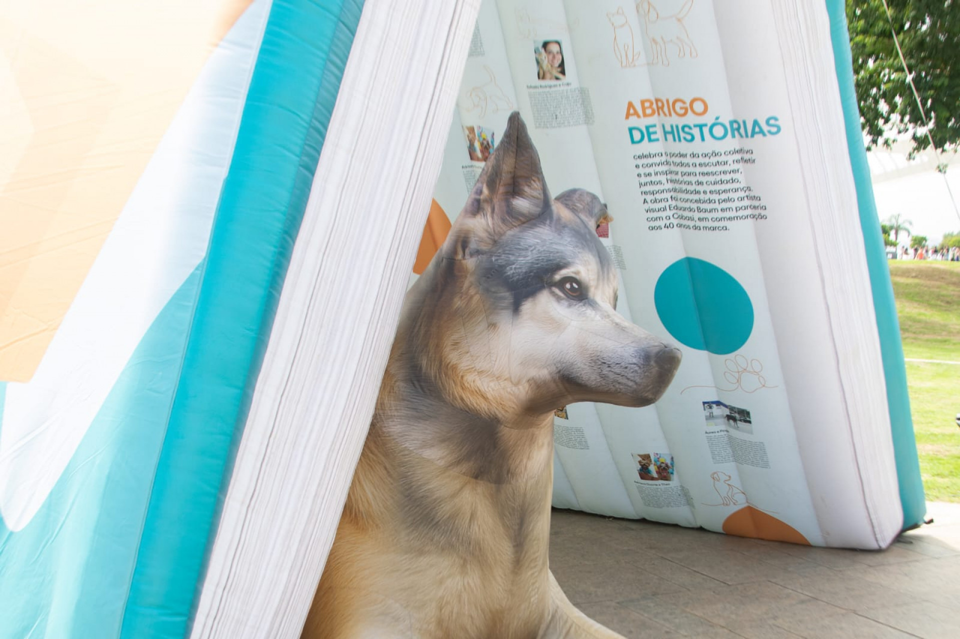 Exposição com obras gigantes e feira de adoção de animais agitam Praça Mauá - Érica Martin / Agência O Dia