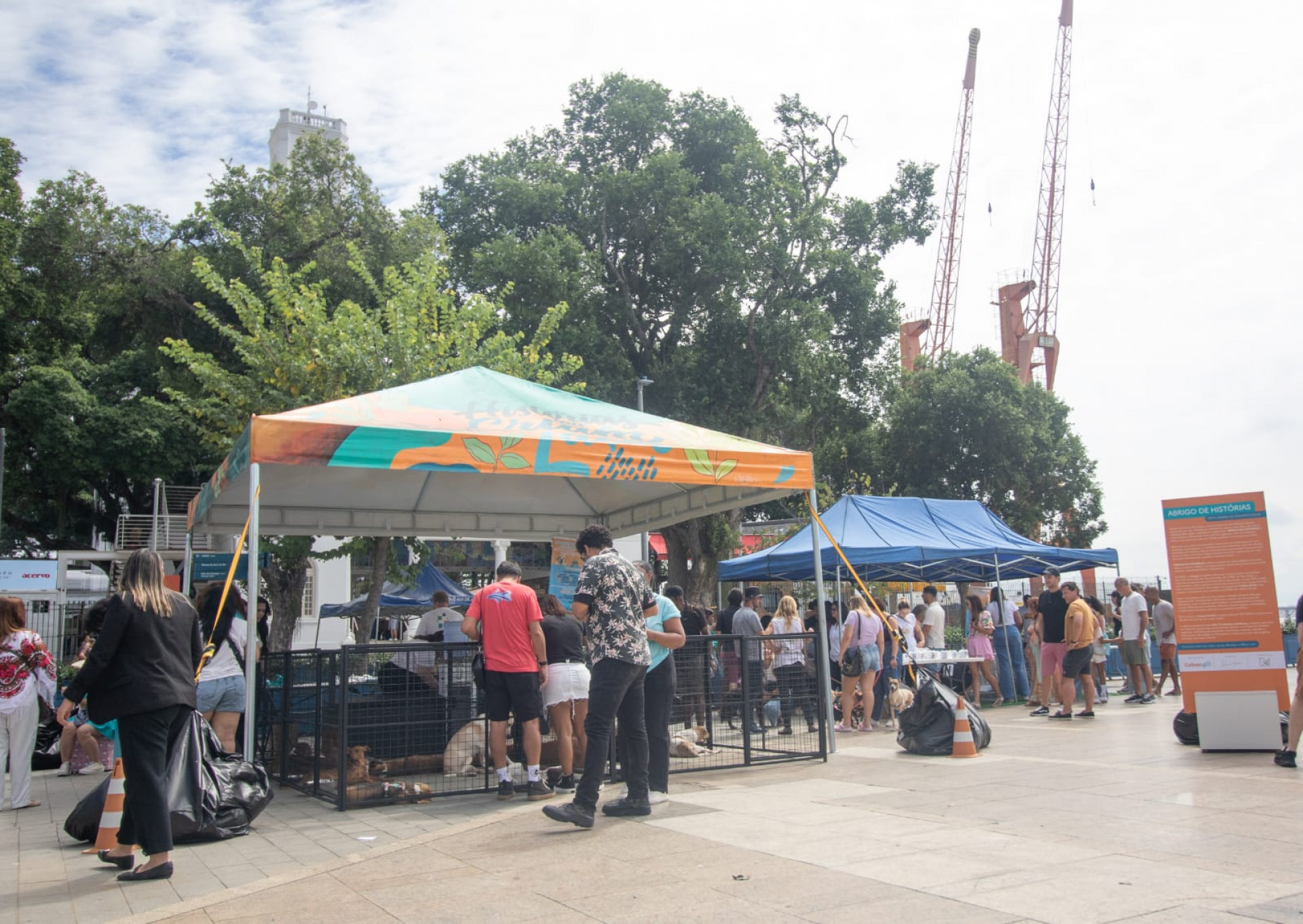 Exposição com obras gigantes e feira de adoção de animais agitam Praça Mauá - Érica Martin / Agência O Dia