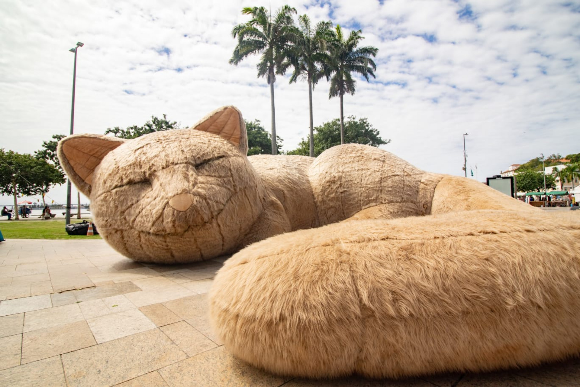 Exposição com obras gigantes e feira de adoção de animais agitam Praça Mauá - Érica Martin / Agência O Dia