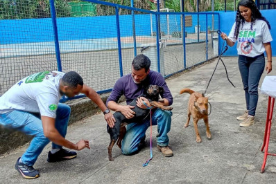 Mais de 90% dos cães e gatos estimados são vacinados na primeira etapa de vacinação antirrábica