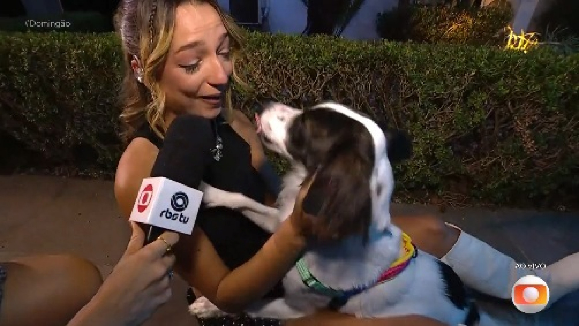 Samira reencontrou o cachorro de estimação ao deixar o reality - Reprodução de Vídeo