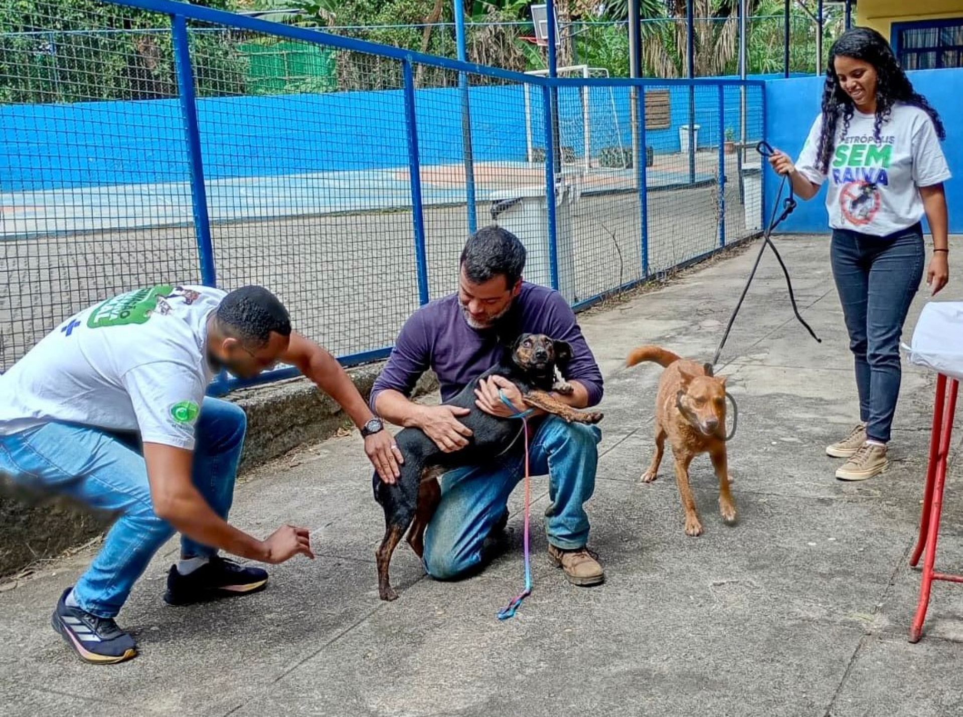 Mais de 90% dos cães e gatos estimados são vacinados na primeira etapa de vacinação antirrábica
