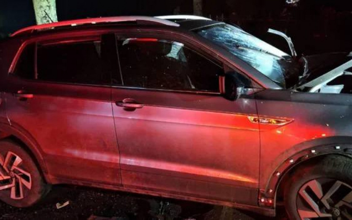 Colisão aconteceu no km 64 da rodovia - Divulgação