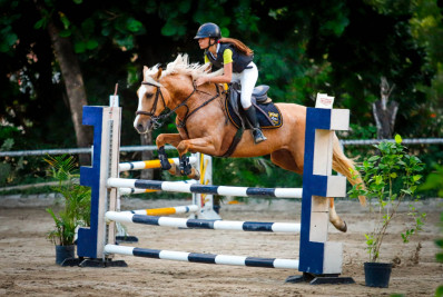 Escola de Hipismo de Volta Redonda conquista dois títulos e mais seis pódios em etapa histórica do Estadual 