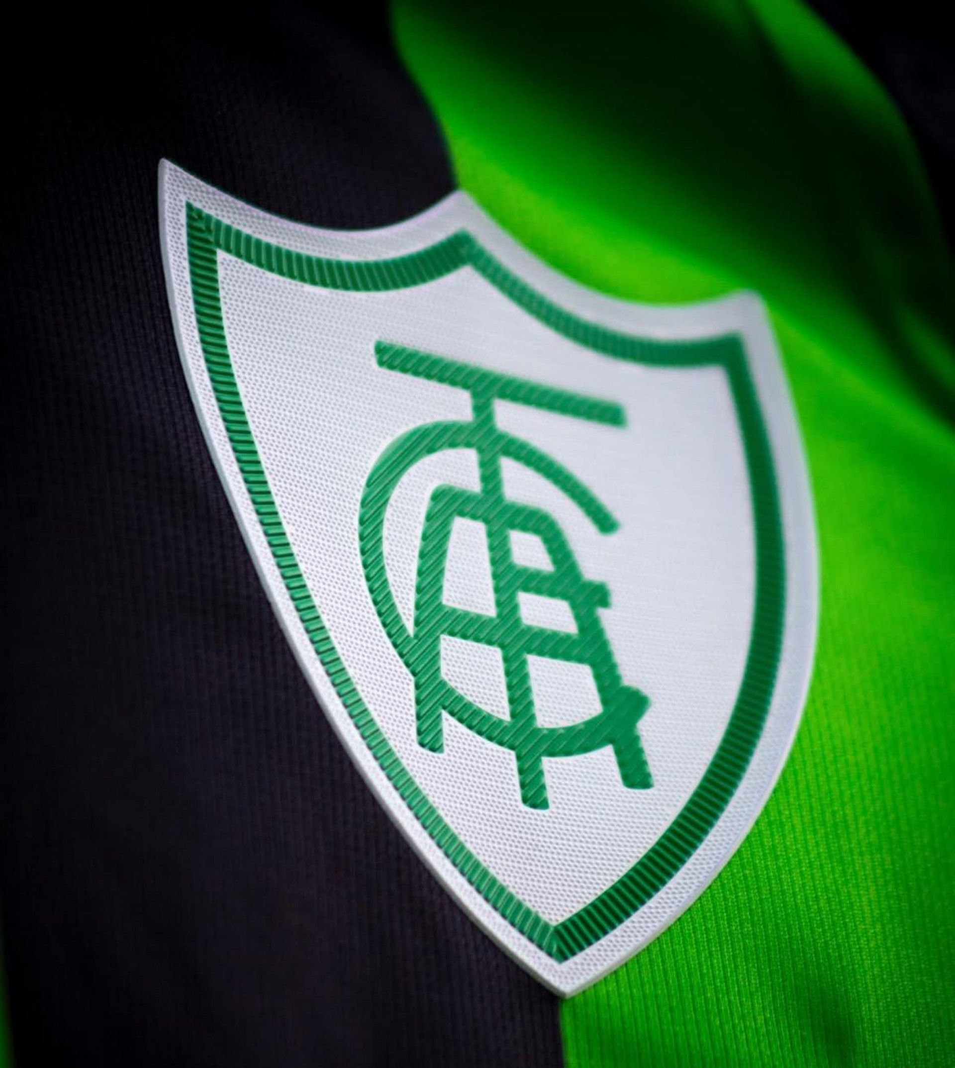 Ex-atacante de Fluminense e Botafogo é o novo técnico de time da Série B