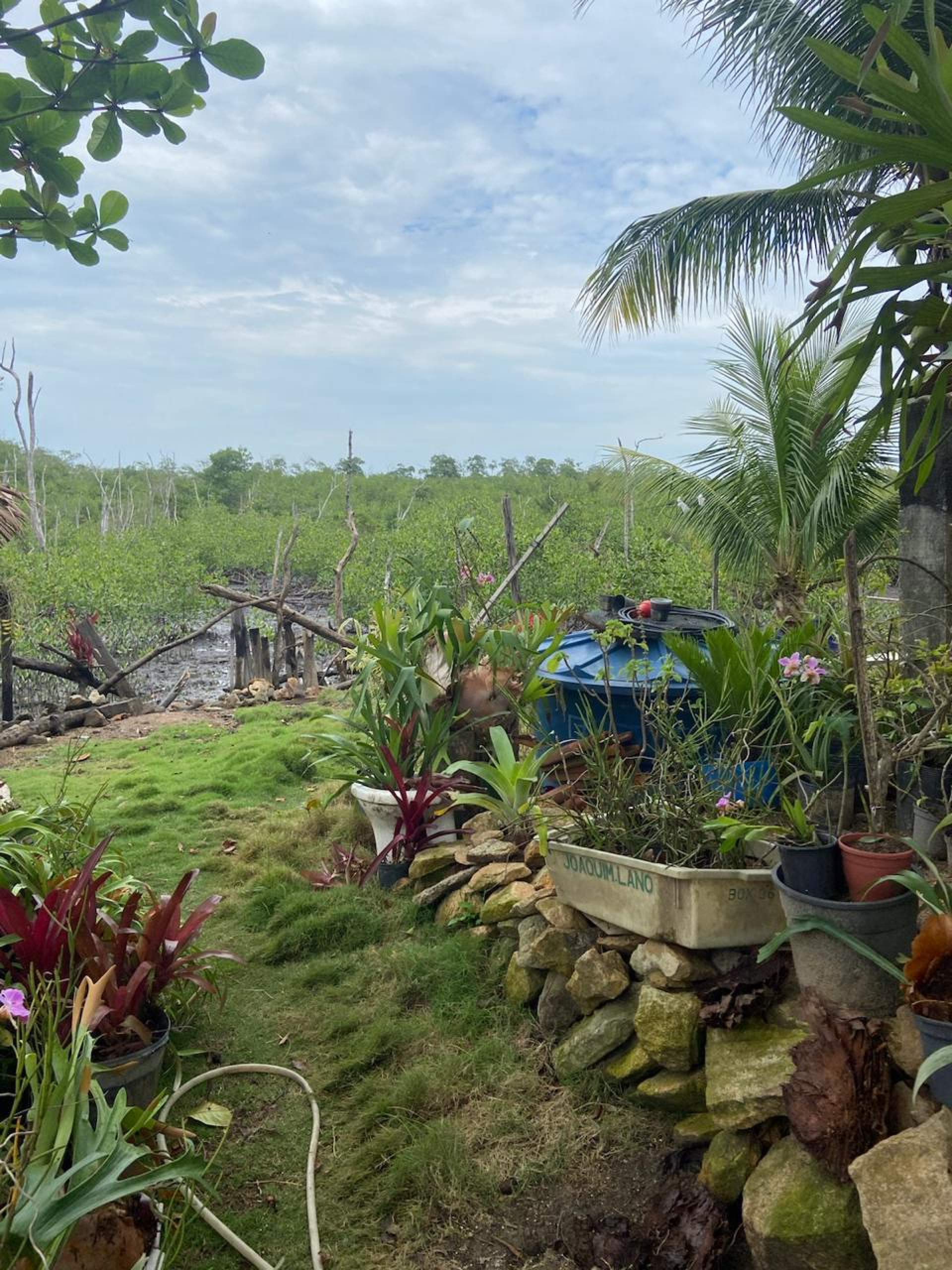 Cerca de 70 famílias em Guaratiba já receberam notificações extrajudiciais sob ameaça de despejo forçado - Arquivo pessoal