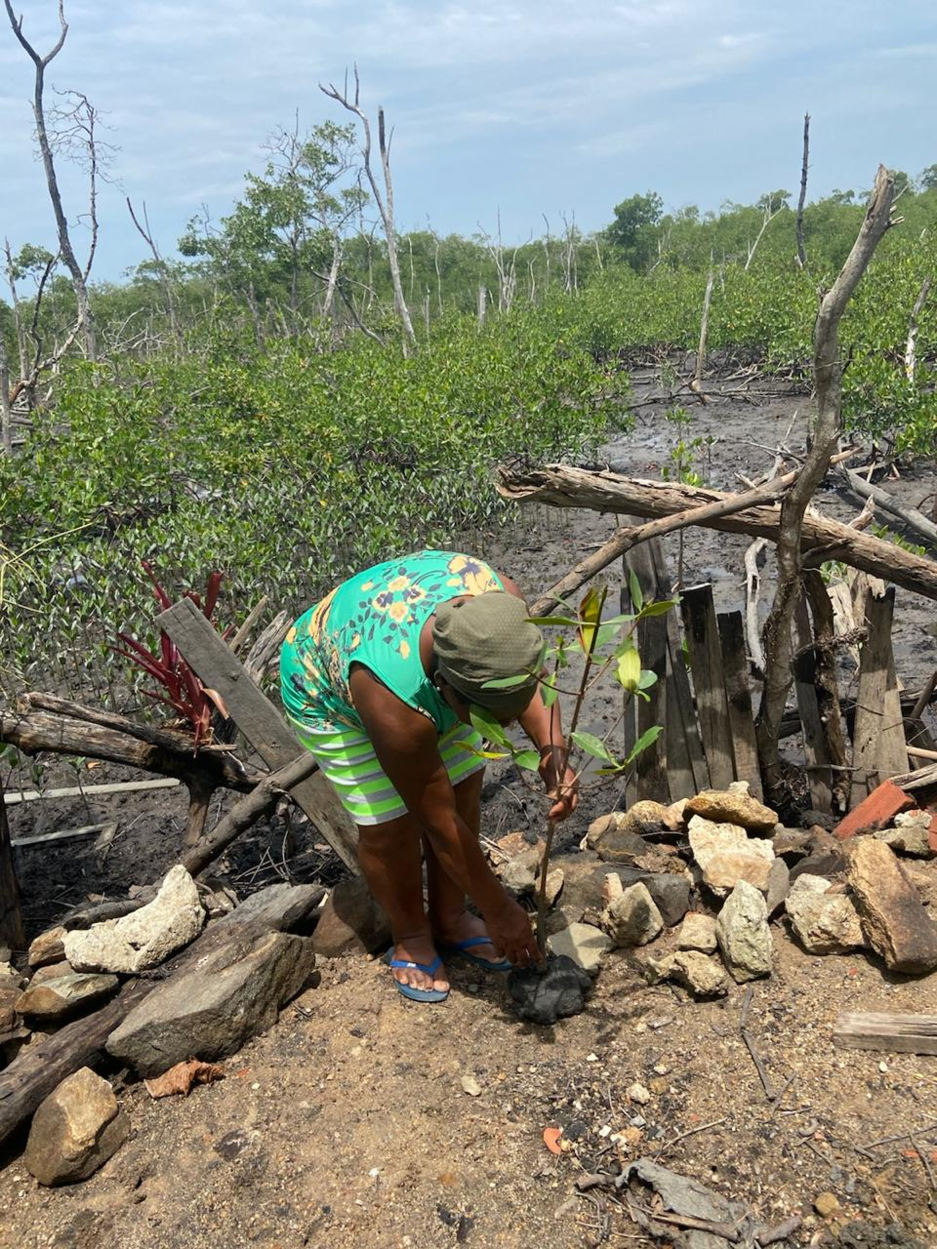 Cerca de 70 famílias em Guaratiba já receberam notificações extrajudiciais sob ameaça de despejo forçado - Arquivo pessoal