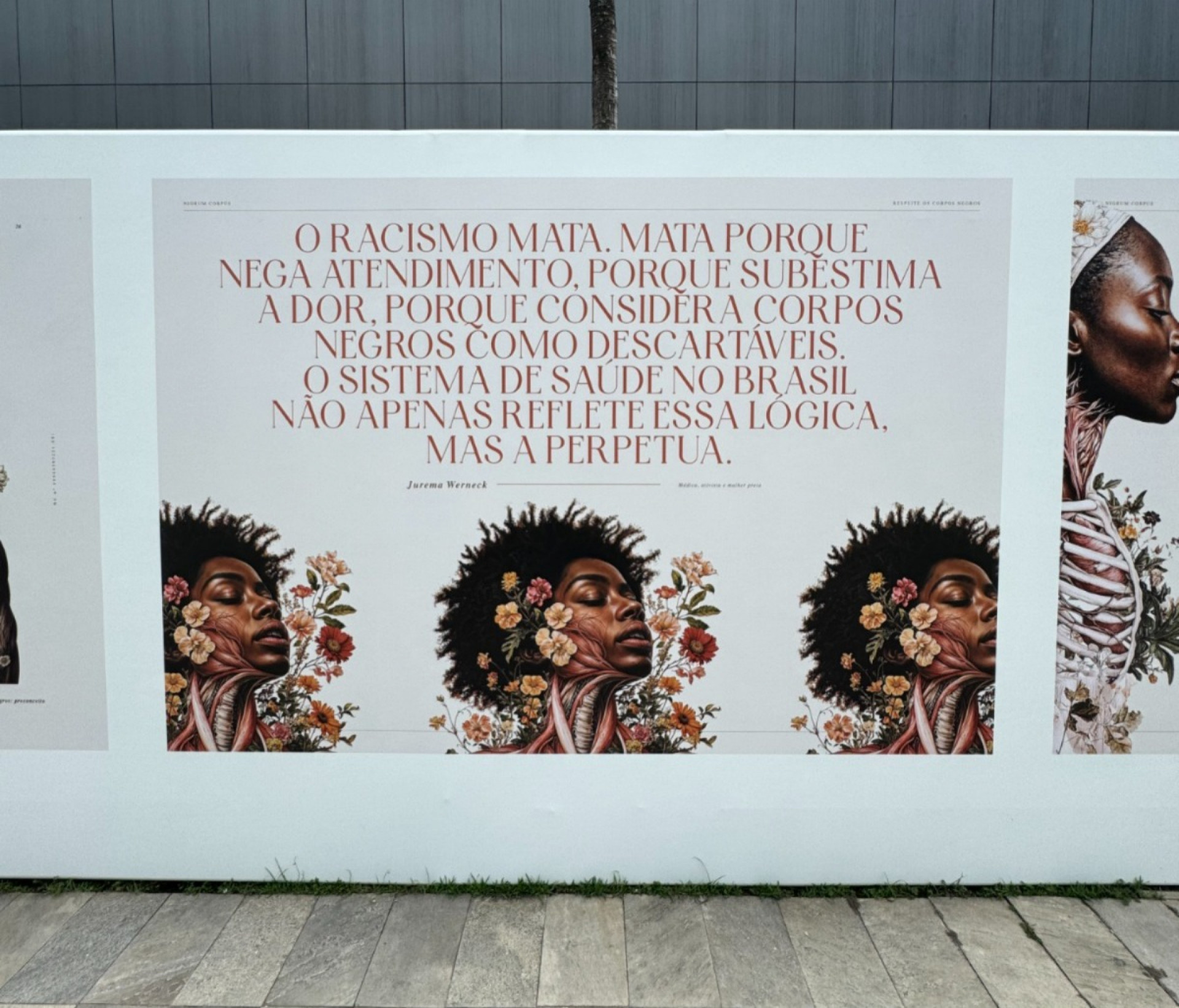 Exposição inspirada no livro 'Nigrum Corpus' busca combater a discriminação na medicina - Jhon Figueiredo / Instituto YDUQS