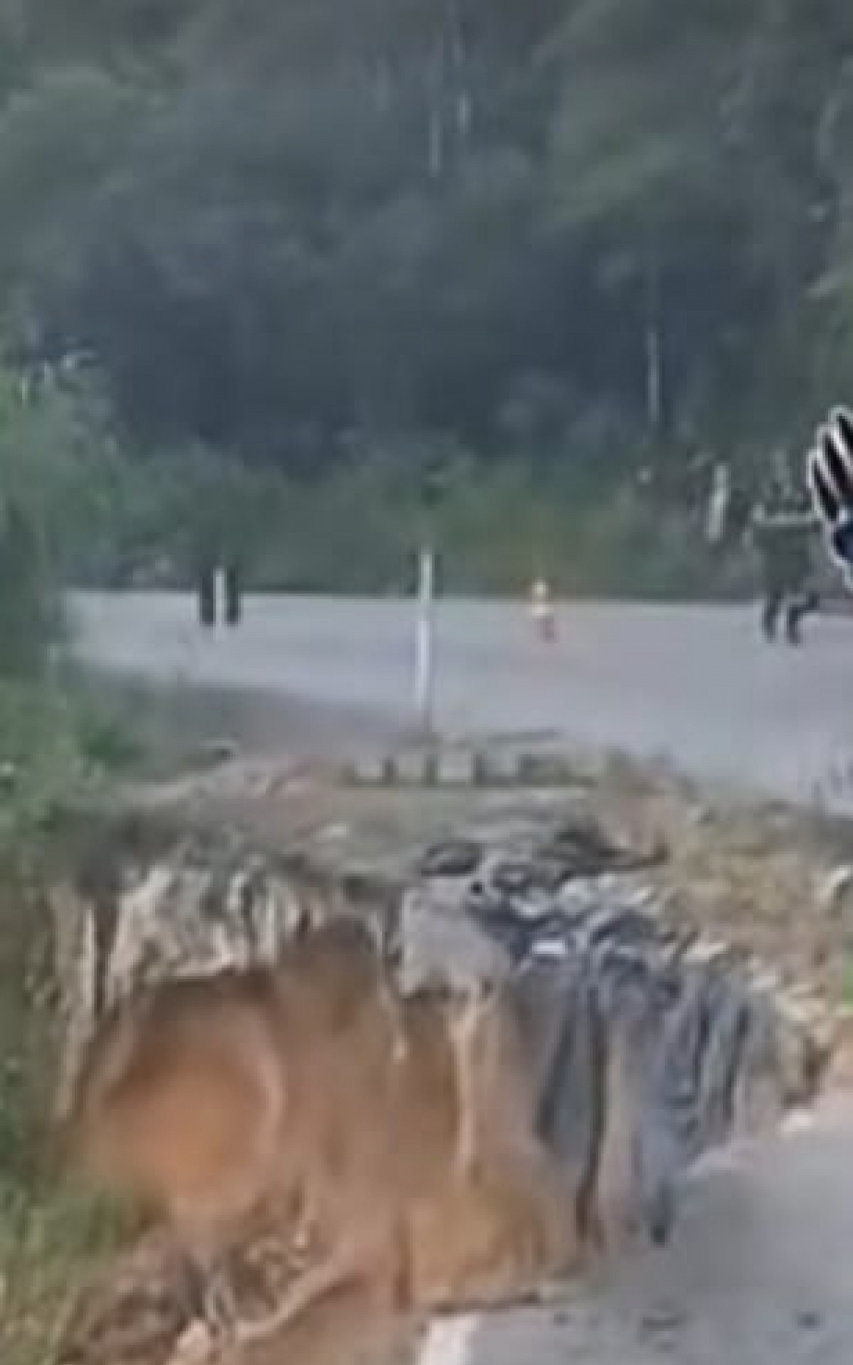 O trecho onde a van caiu, mostra o perigo constante de passar pela RJ 155