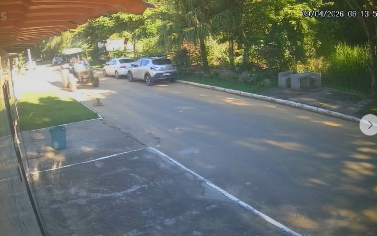 Vídeo mostra momento que servidor atropela e mata cãozinho em Queimados