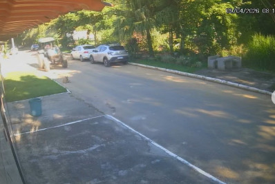 Vídeo mostra momento que servidor atropela e mata cãozinho em Queimados