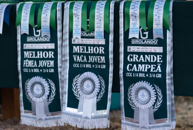 Expo Girolando 2026 vai movimentar Barra Mansa e destacar a força do agronegócio leiteiro