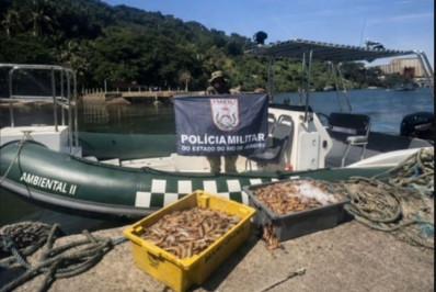 Polícia Ambiental prende quatro em flagrante por pesca ilegal de camarão na Baía da Ilha Grande 