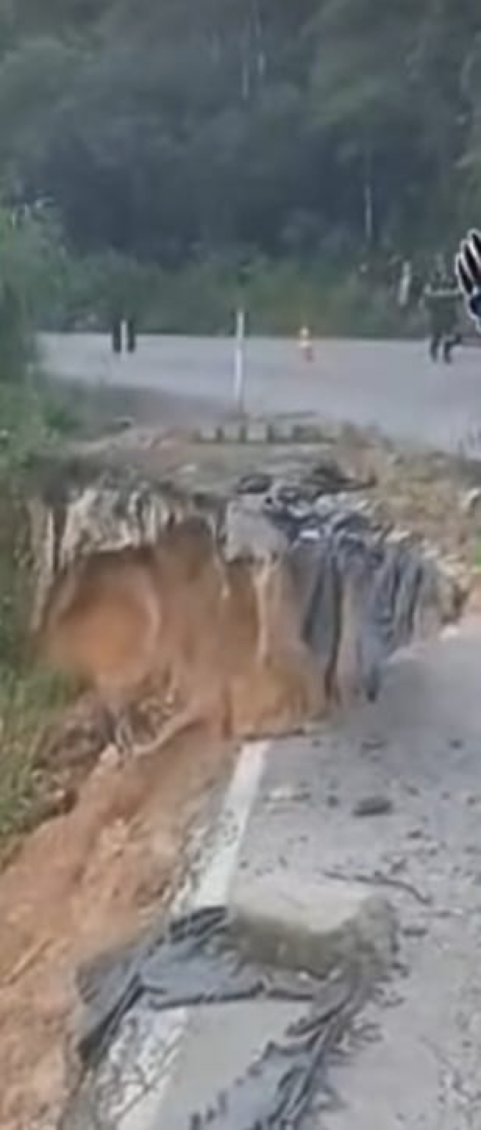 O trecho onde a van caiu, mostra o perigo constante de passar pela RJ 155 - Divulga&ccedil;&atilde;o