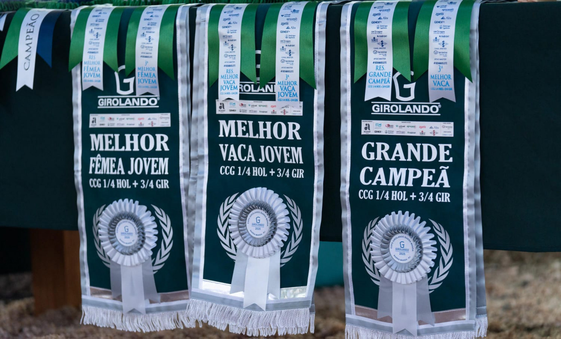 Expo Girolando 2026 vai movimentar Barra Mansa e destacar a força do agronegócio leiteiro