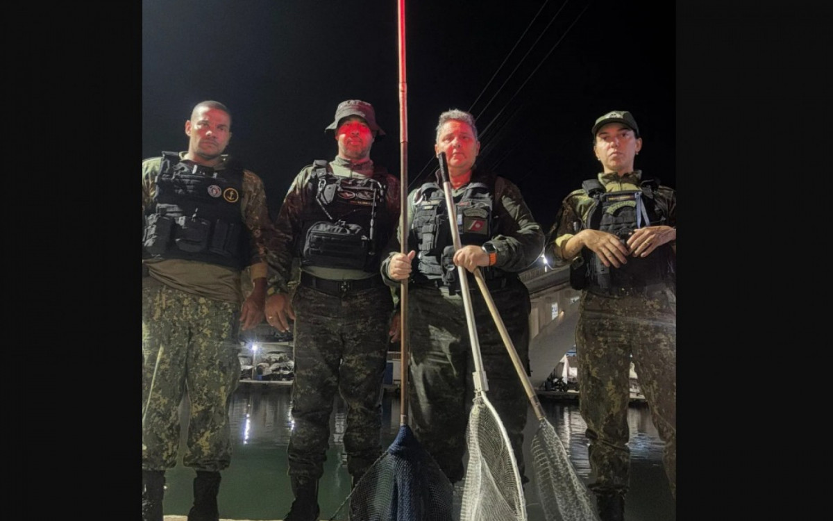 As ocorrências foram registradas em diferentes pontos da laguna e da orla de Cabo Frio.