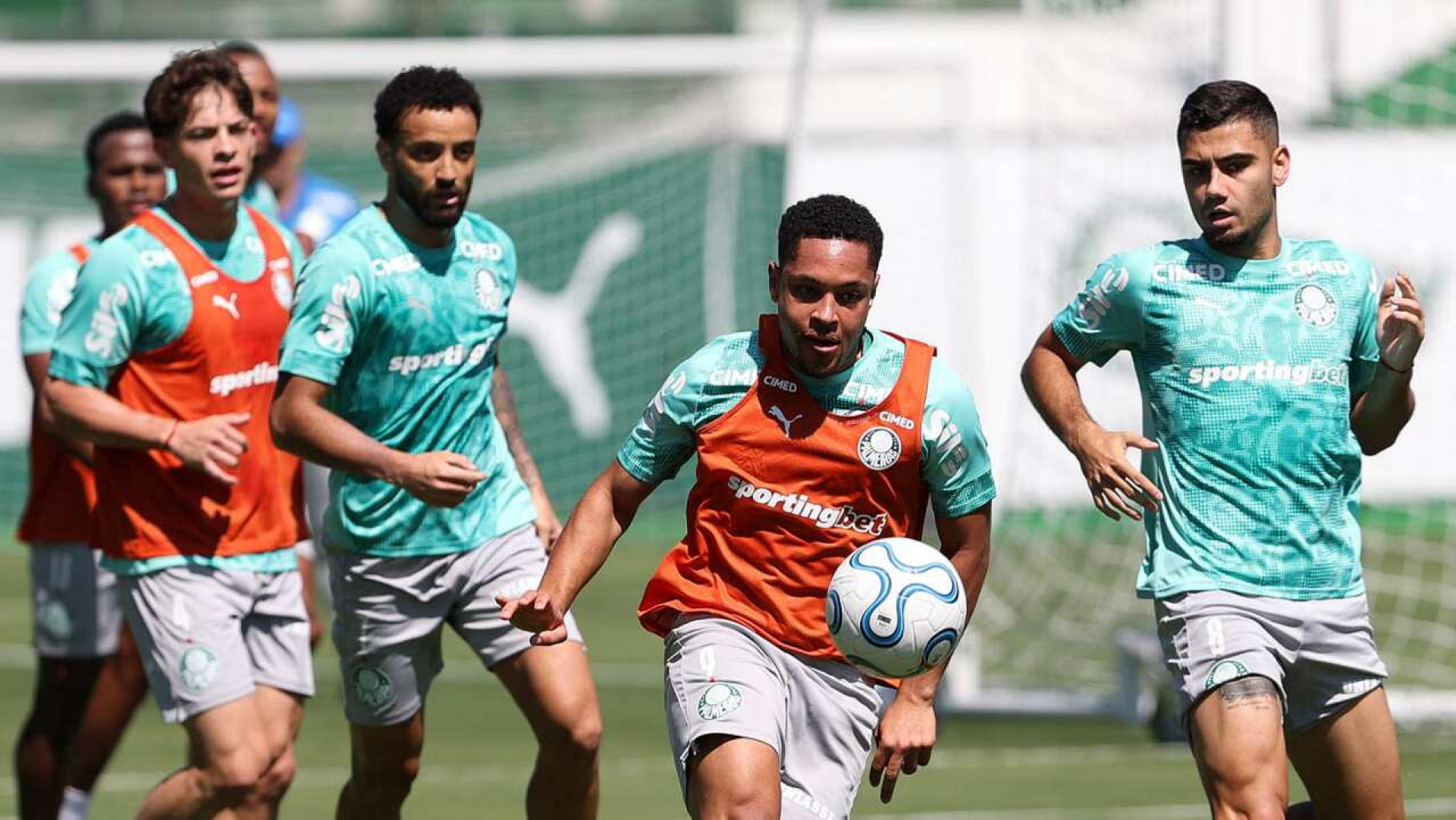 Palmeiras fecha prepara&ccedil;&atilde;o para jogo da Libertadores com duas novidades