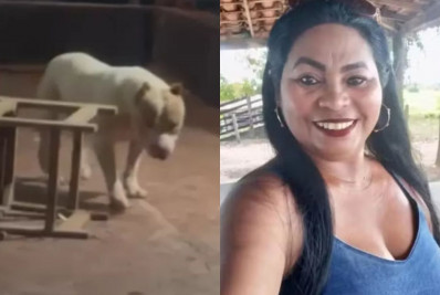 Mulher é atacada por pitbull enquanto dava banho no animal e morre no Maranhão