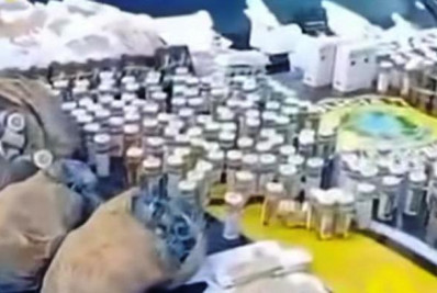 Carga ilegal de anabolizantes é interceptada na BR-101 e acende alerta em Casimiro