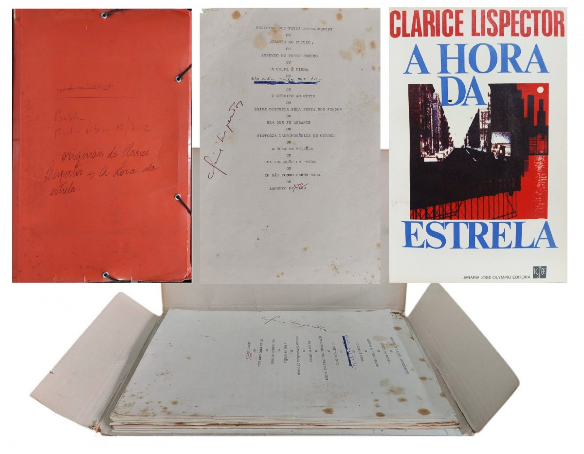 Lote com manuscrito original de ?A Hora da Estrela?, de Clarice Lispector, foi arrematado por R$ 375 mil - Reprodução / Letra Viva Leilões