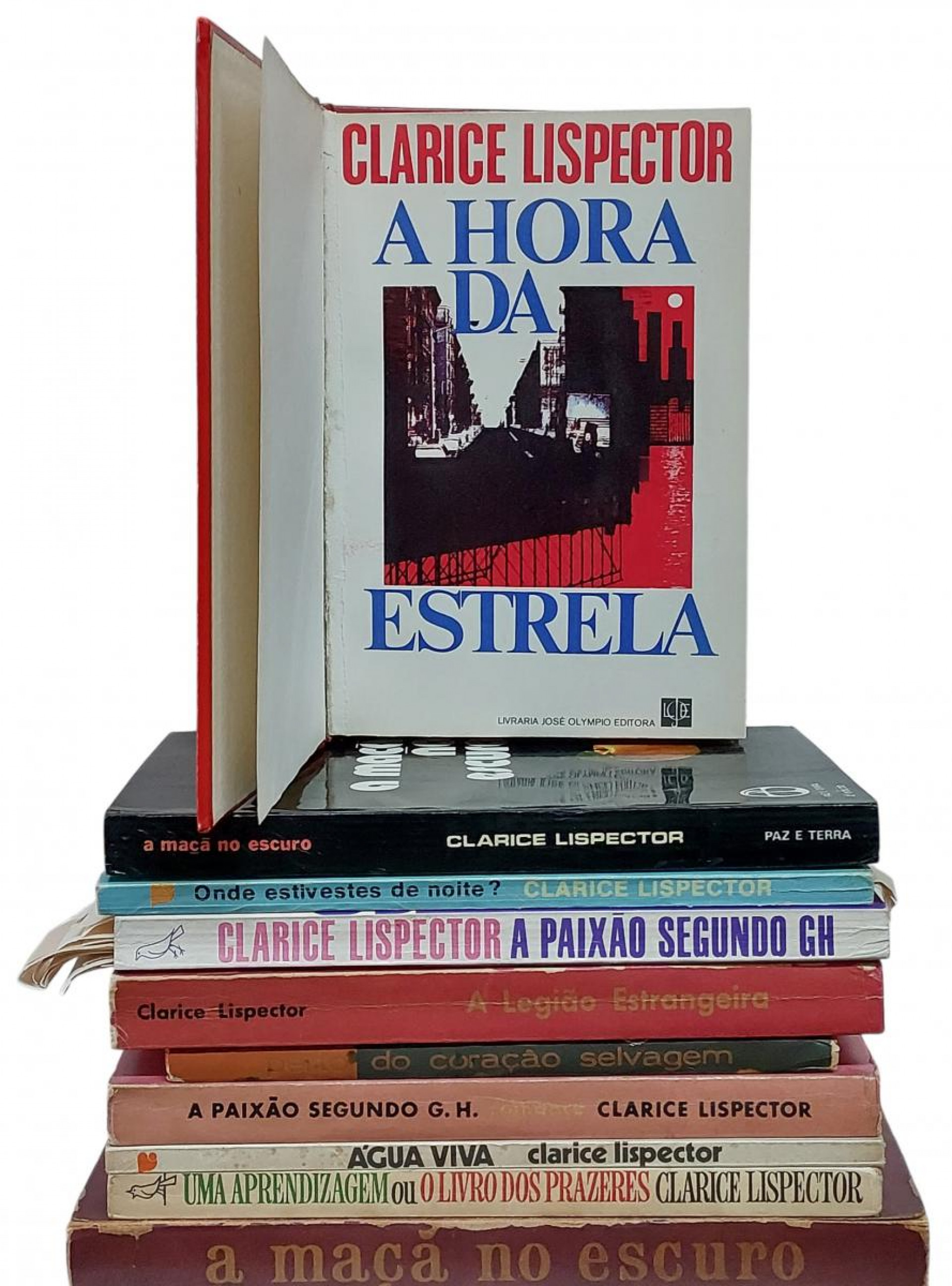 Lote com manuscrito original de ?A Hora da Estrela?, de Clarice Lispector, foi arrematado por R$ 375 mil - Reprodução / Letra Viva Leilões