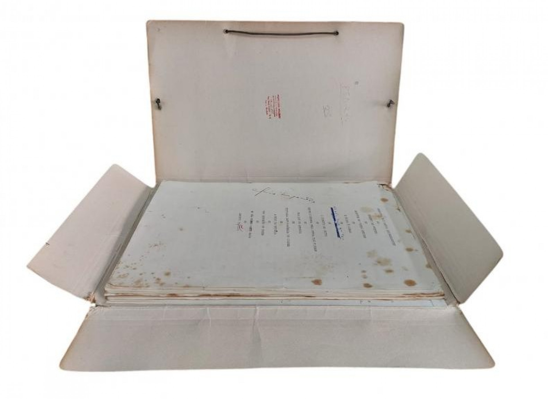 Lote com manuscrito original de ?A Hora da Estrela?, de Clarice Lispector, foi arrematado por R$ 375 mil - Reprodução / Letra Viva Leilões