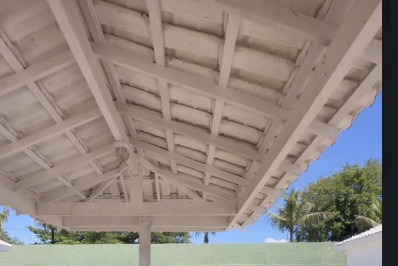 Patixa canta, boi não gosta da música e joga Nicole Bahls na água