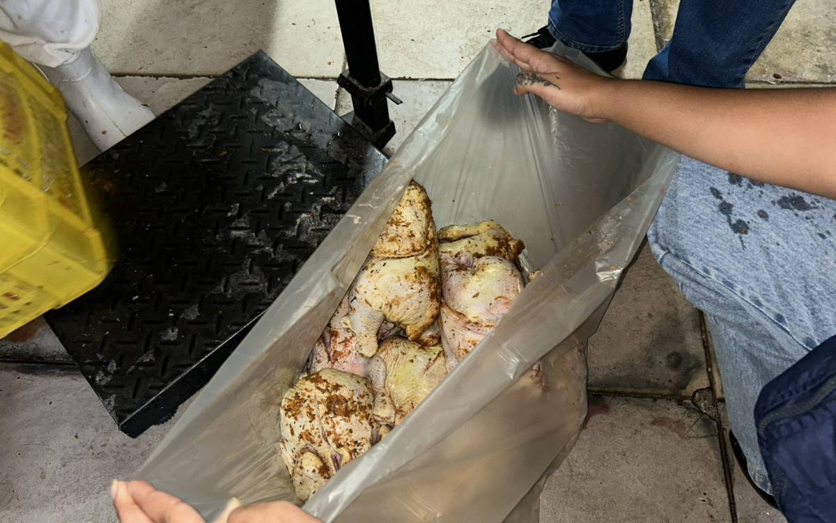 Fiscaliza&ccedil;&atilde;o aconteceu nesta sexta-feira (17) em uma padaria da Rua Cardoso de Morais