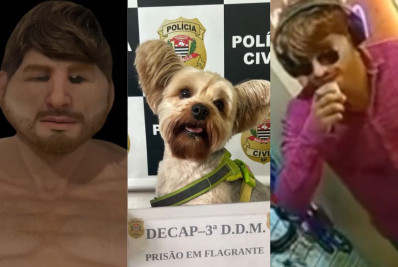 Homem usa máscara realista para furtar cão de ex em pet shop e é preso