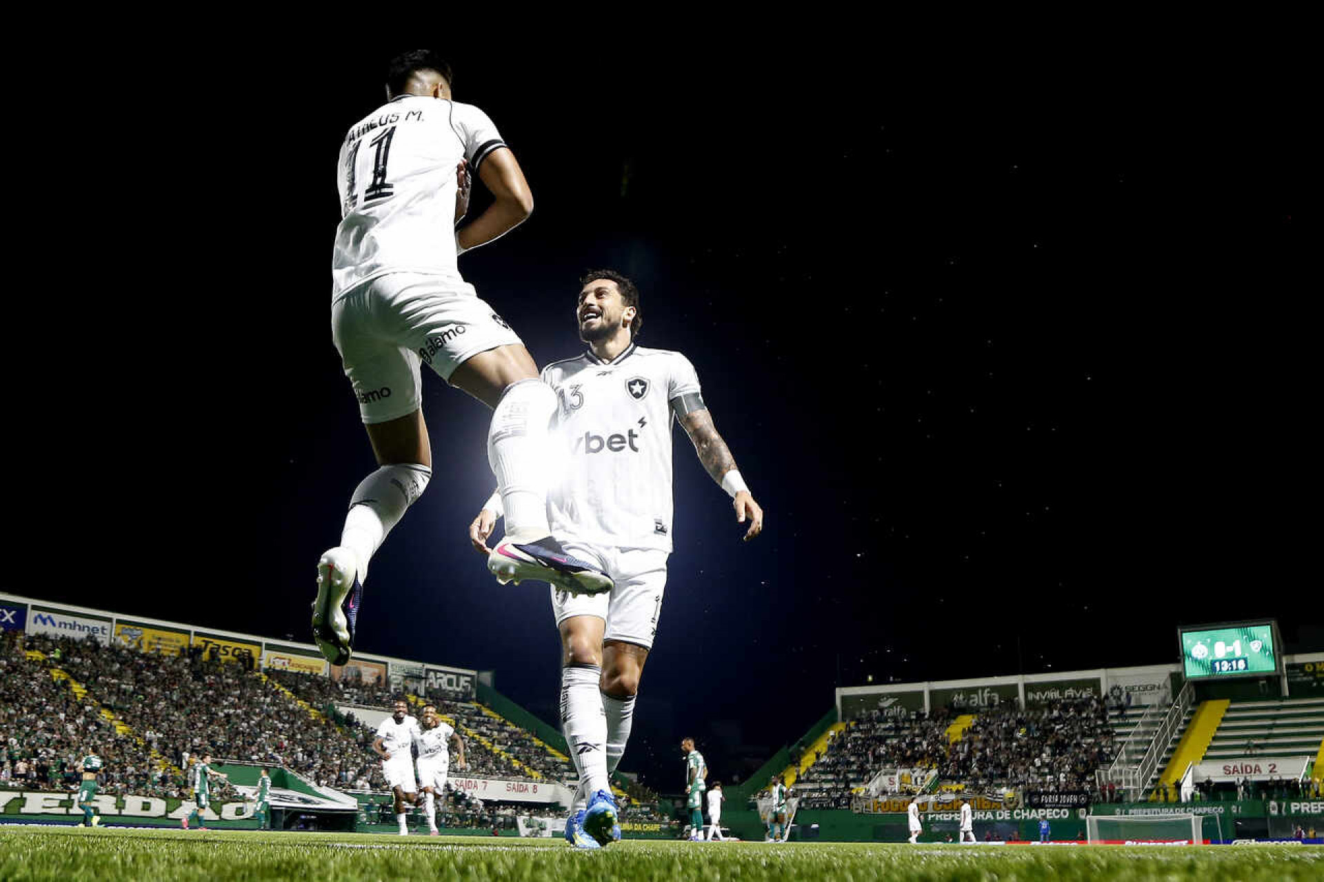 Martins: “Cada vez com mais confian&ccedil;a no Botafogo”