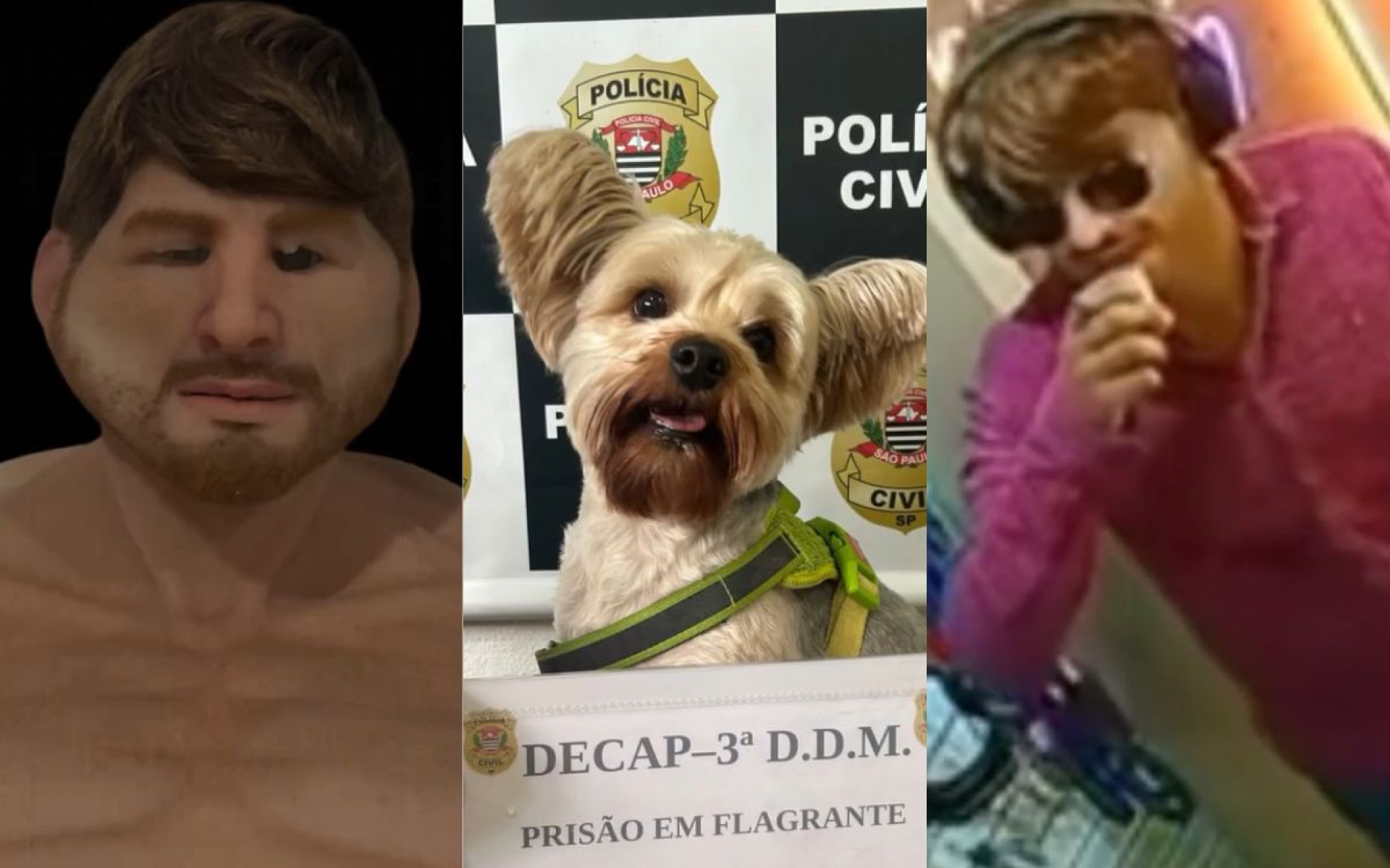 Homem usou uma m&aacute;scara realista para furtar o cachorro da ex e amea&ccedil;&aacute;-la com o animal