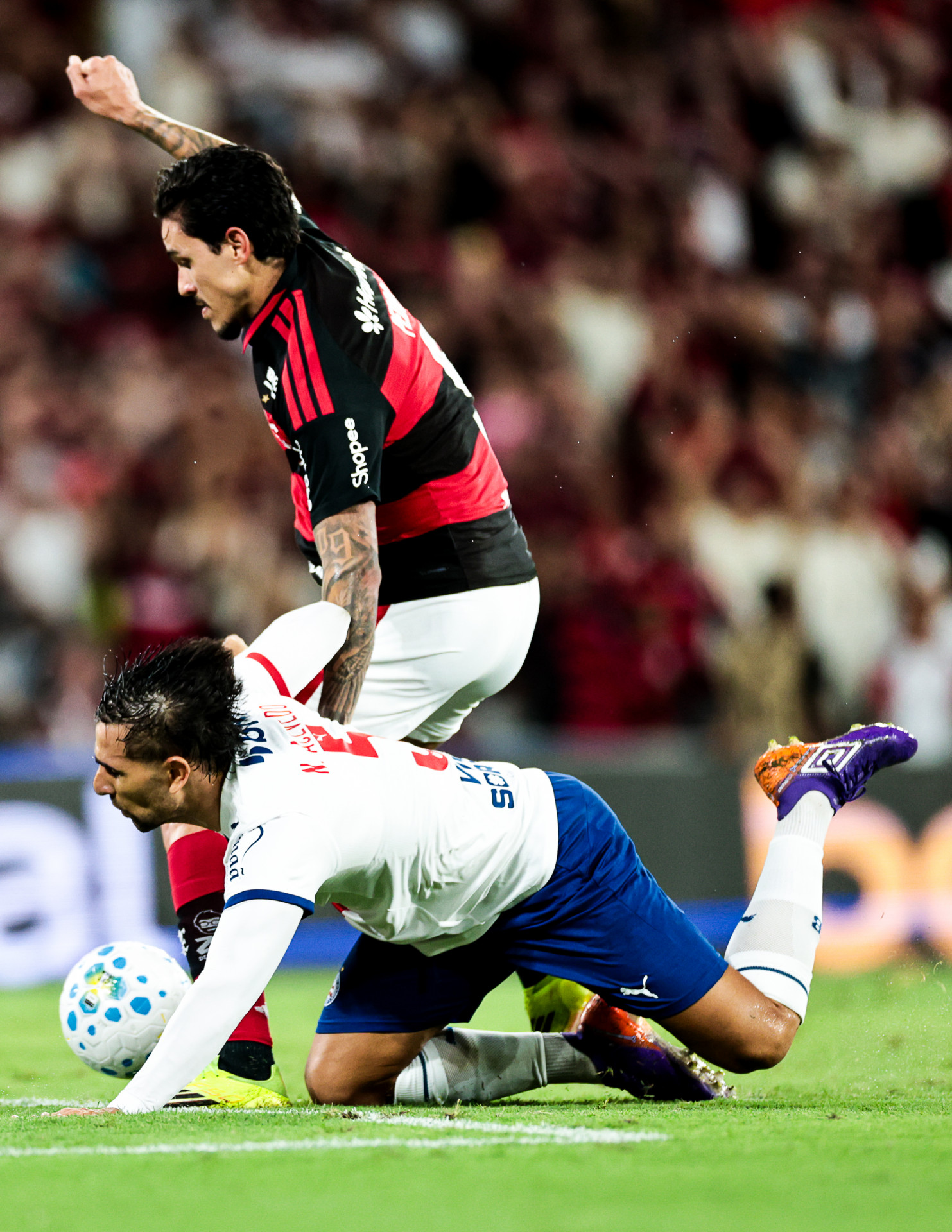 FLAMENGO X BAHIA - BRASILEIRO - MARACANA -
fotos Gilvan de Souza/Flamengo -  Gilvan de Souza/Flamengo