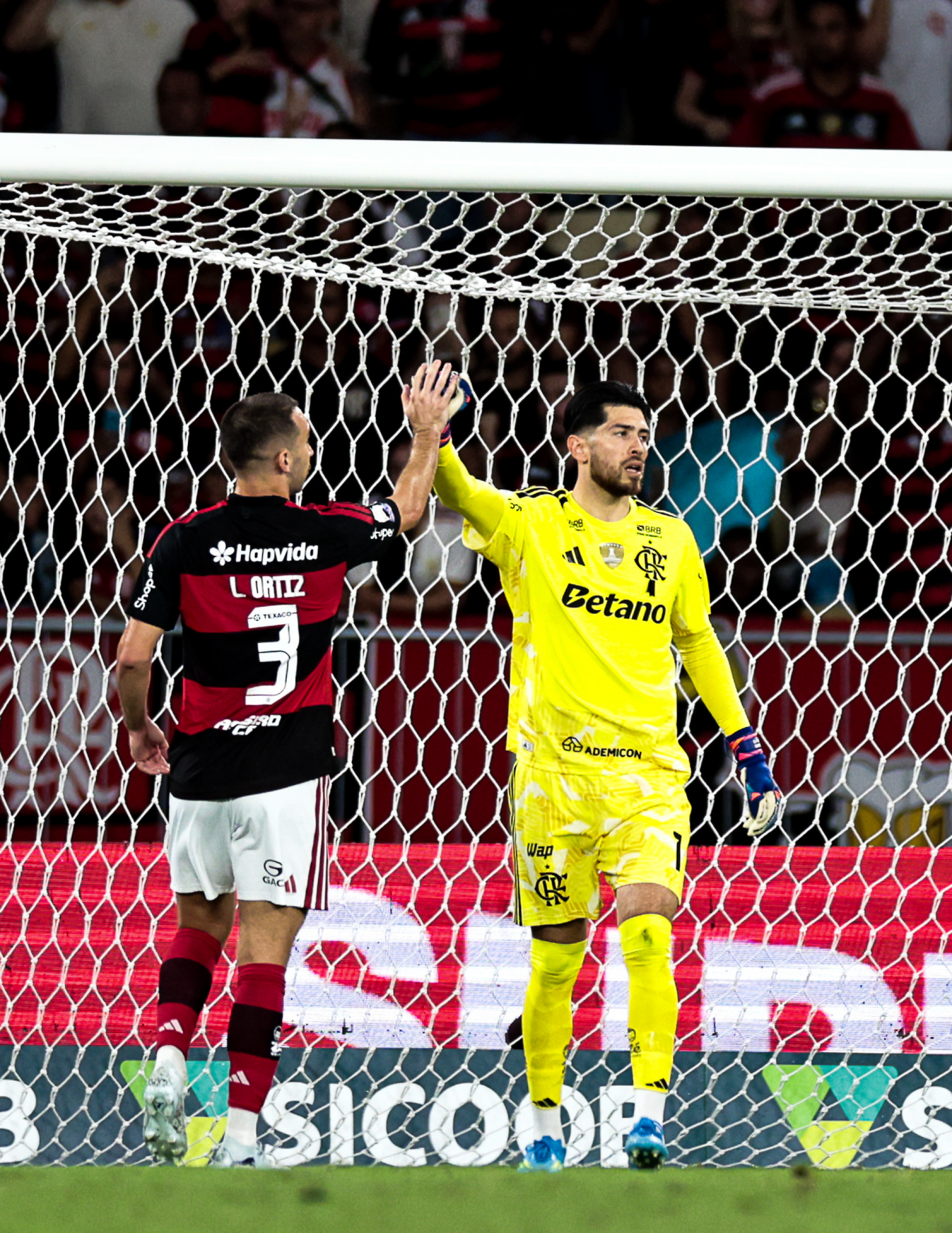 FLAMENGO X BAHIA - BRASILEIRO - MARACANA -
fotos Gilvan de Souza/Flamengo -  Gilvan de Souza/Flamengo