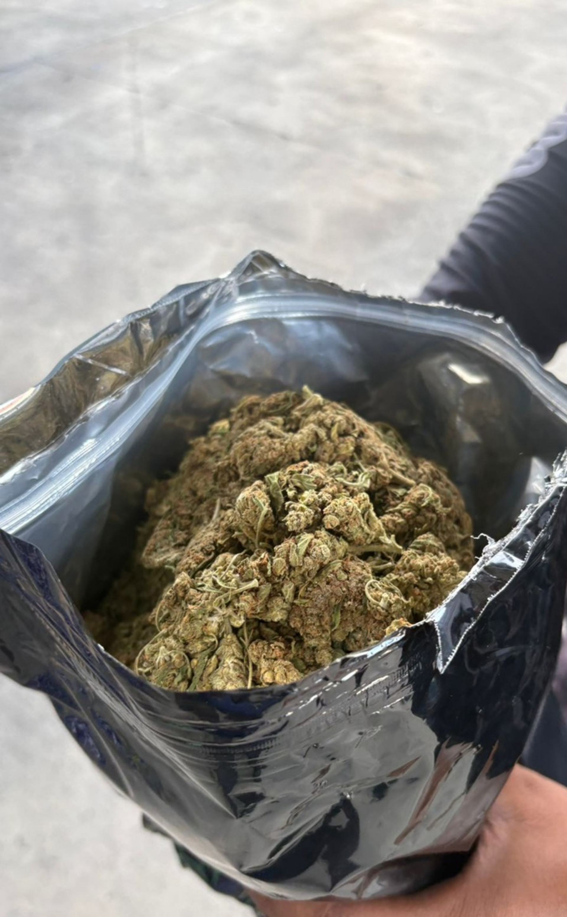 Droga estava armazenada em 463 embalagens prestas de plástico - Divulgação/Operação Foco Divisas