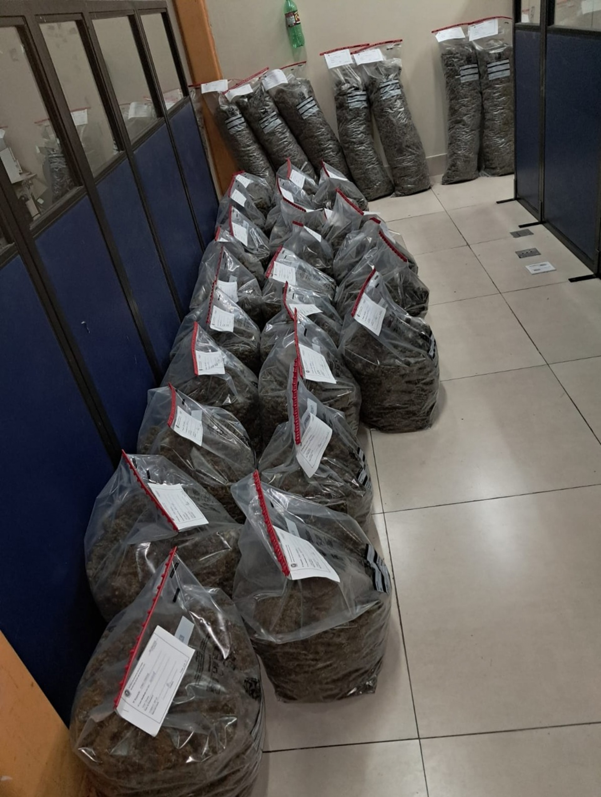 Droga foi levada para a 99ª DP - Divulgação/Operação Foco Divisas