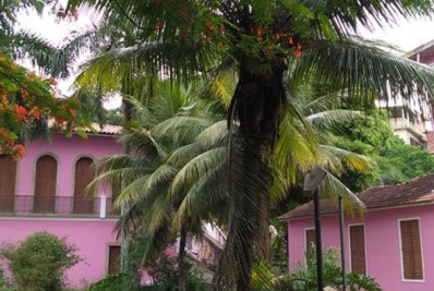 Seminário Brasileiro de Estudos de Roteiro reúne pesquisadores de todo o país na UFF