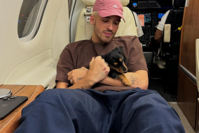 João Guilherme celebra aniversário de cachorro adotado com a ex-namorada Bruna Marquezine: 'Vida'