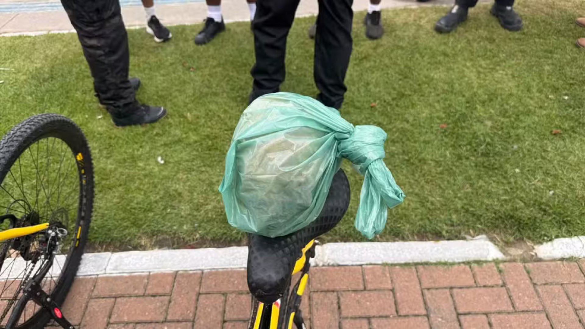 Crânio humano é encontrado por banhista em praia turística de Alagoas