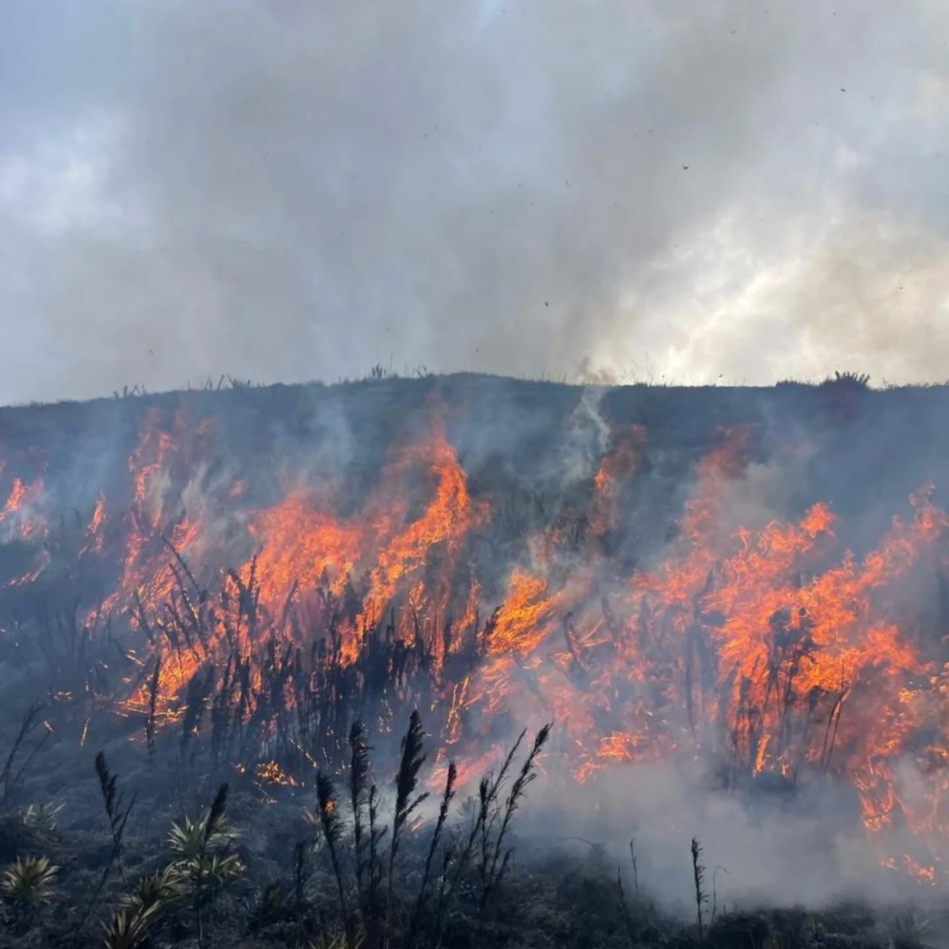 Parque Nacional da Serra dos Órgãos é atingido por incêndio de grandes proporções