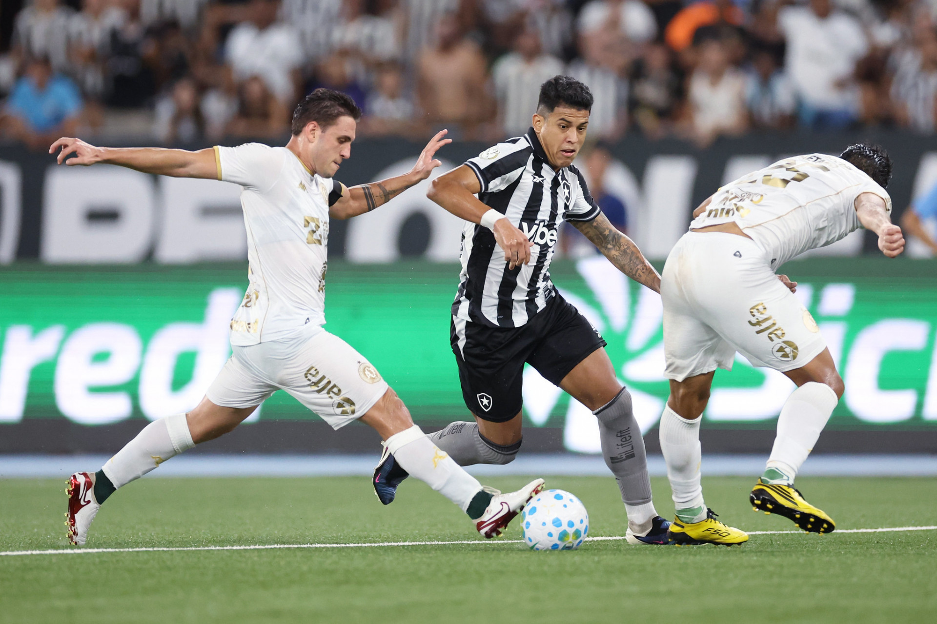 Botafogo enfrentou a Chapecoense, nesta quarta-feira (21), no Nilton Santos, pela Copa do Brasil - Vitor Silva / Botafogo