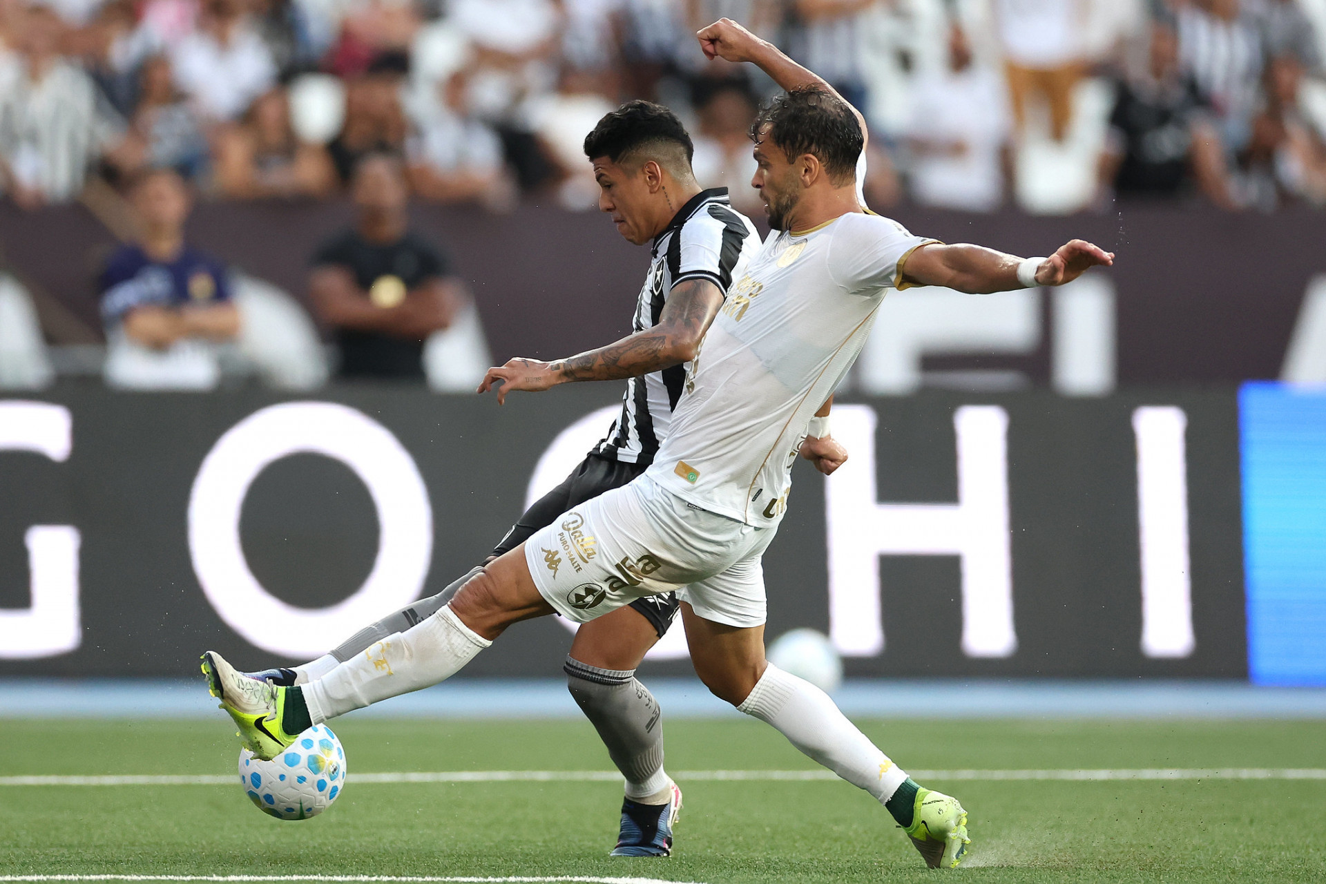 Botafogo enfrentou a Chapecoense, nesta quarta-feira (21), no Nilton Santos, pela Copa do Brasil - Vitor Silva / Botafogo