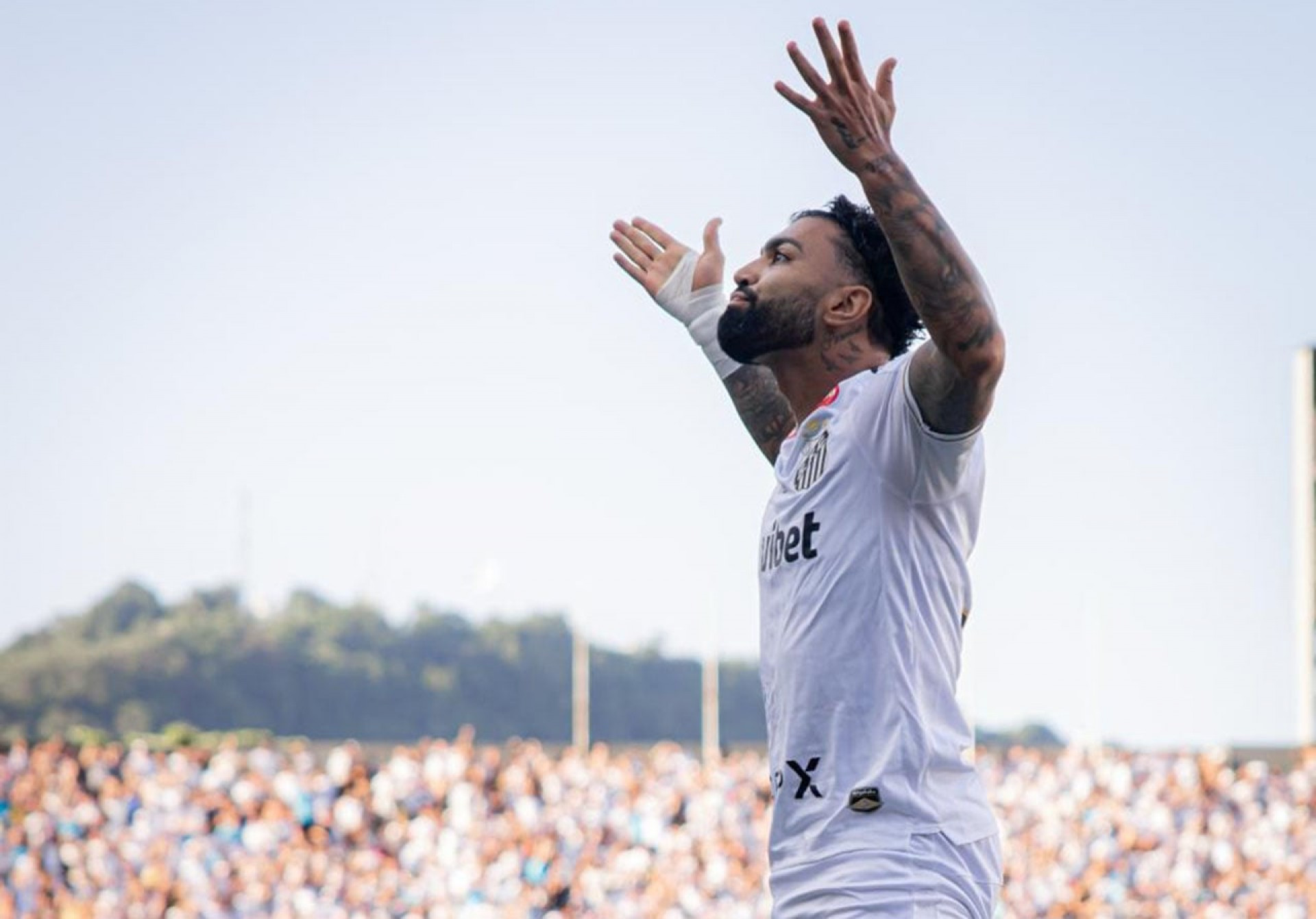 Santos x Coritiba: onde assistir, escala&ccedil;&otilde;es e arbitragem