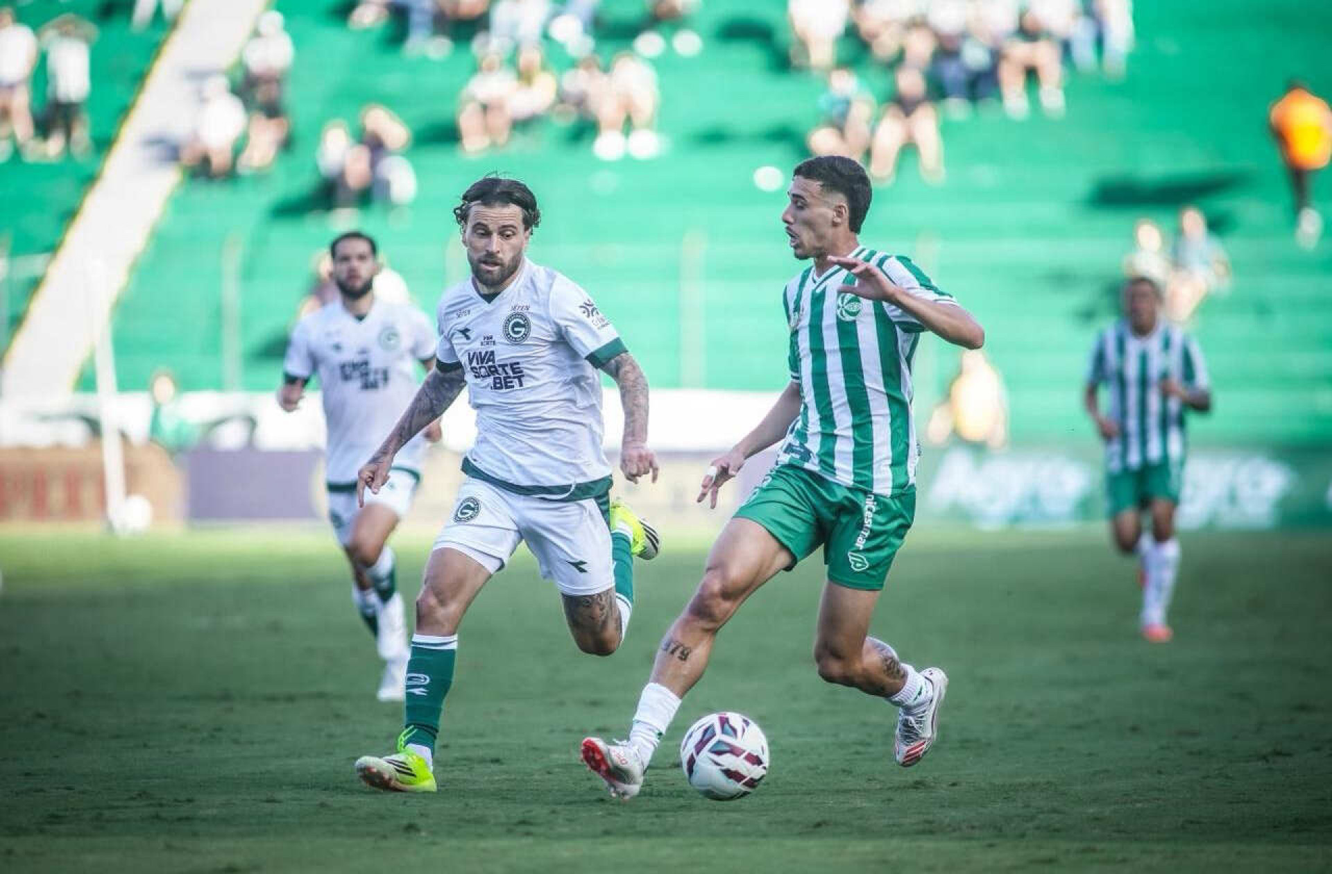 Goi&aacute;s x Cruzeiro: onde assistir, escala&ccedil;&otilde;es e arbitragem