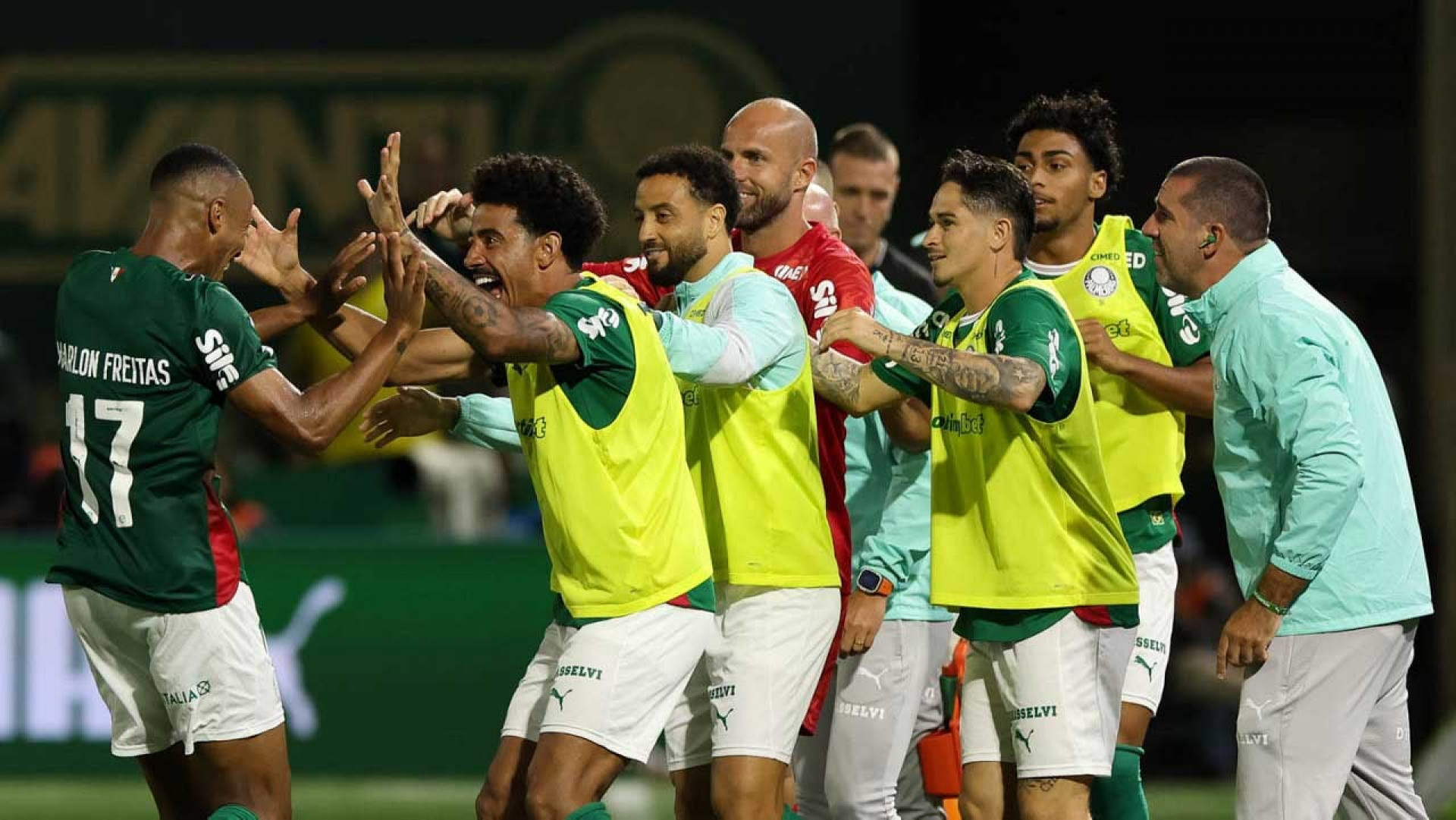 Palmeiras estreia na Copa do Brasil querendo recuperar prest&iacute;gio na competi&ccedil;&atilde;o