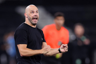 Primeira vitória de Franclim em casa sela melhor sequência do Botafogo no ano