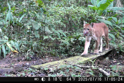 Reserva Biológica União completa 28 anos e amplia proteção ambiental no interior do estado