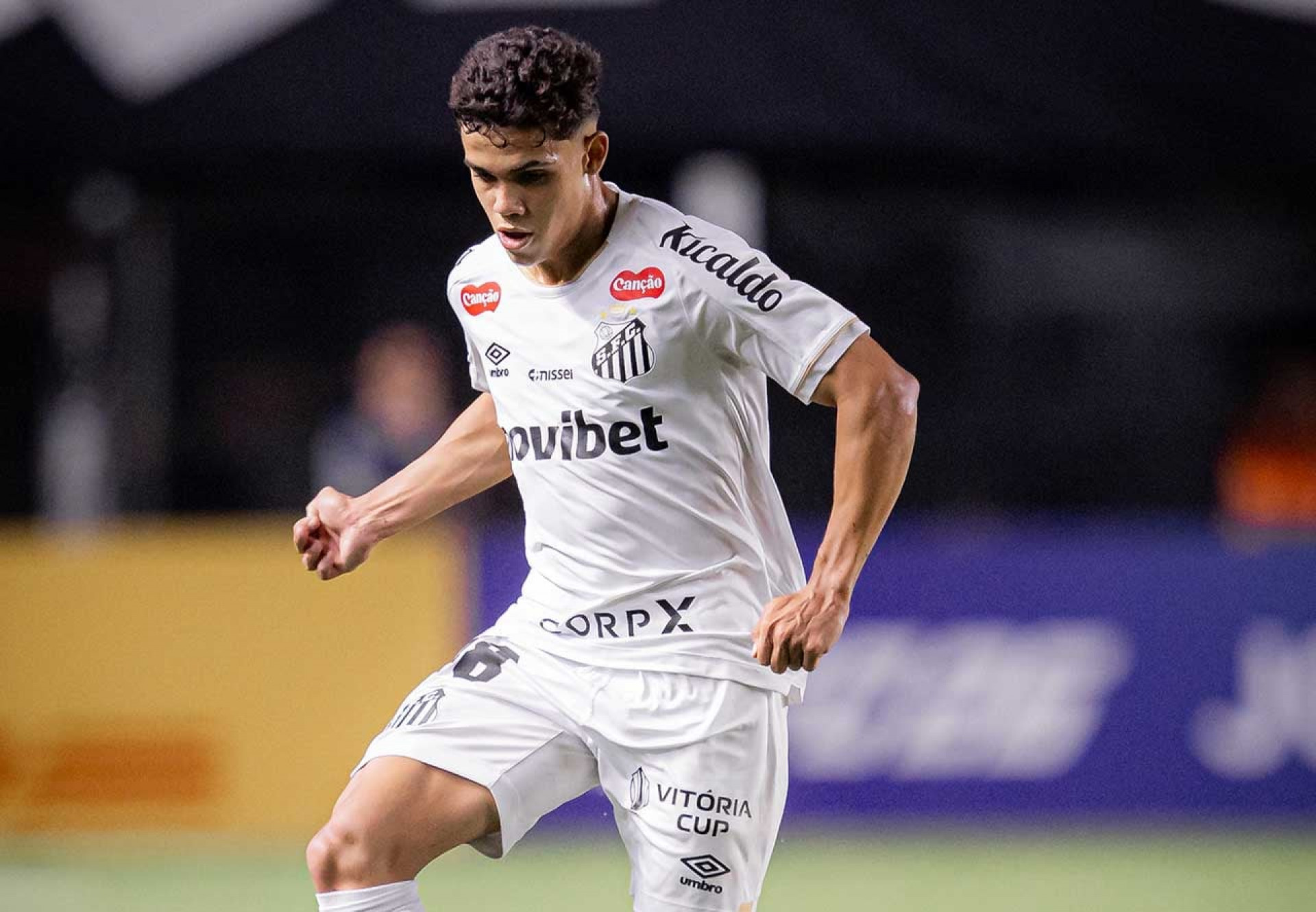 Gustavo Henrique sai lesionado e preocupa o Santos
