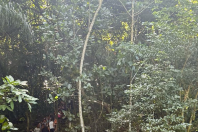 Vídeo: trilha do Morro da Urca tem 'engarrafamento' durante feriado