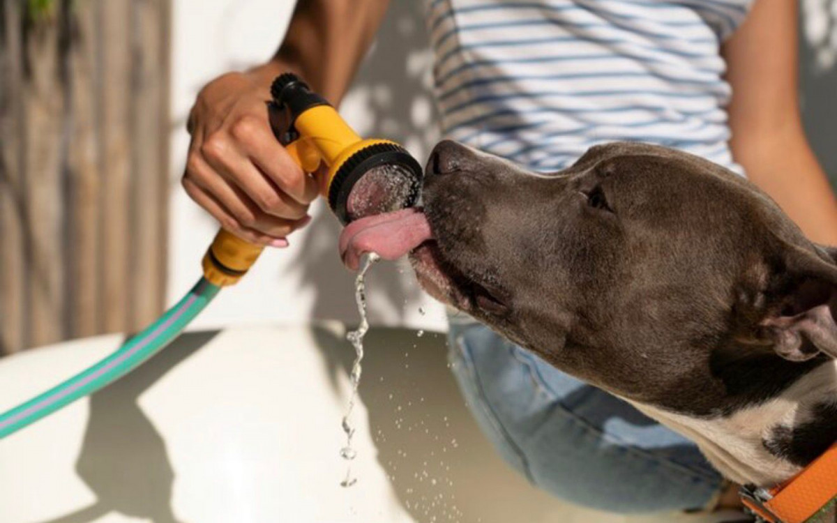 A conscientização é essencial para prevenir problemas silenciosos