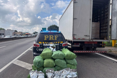 PRF apreende mais de 100 kg de maconha em caminhão na Dutra